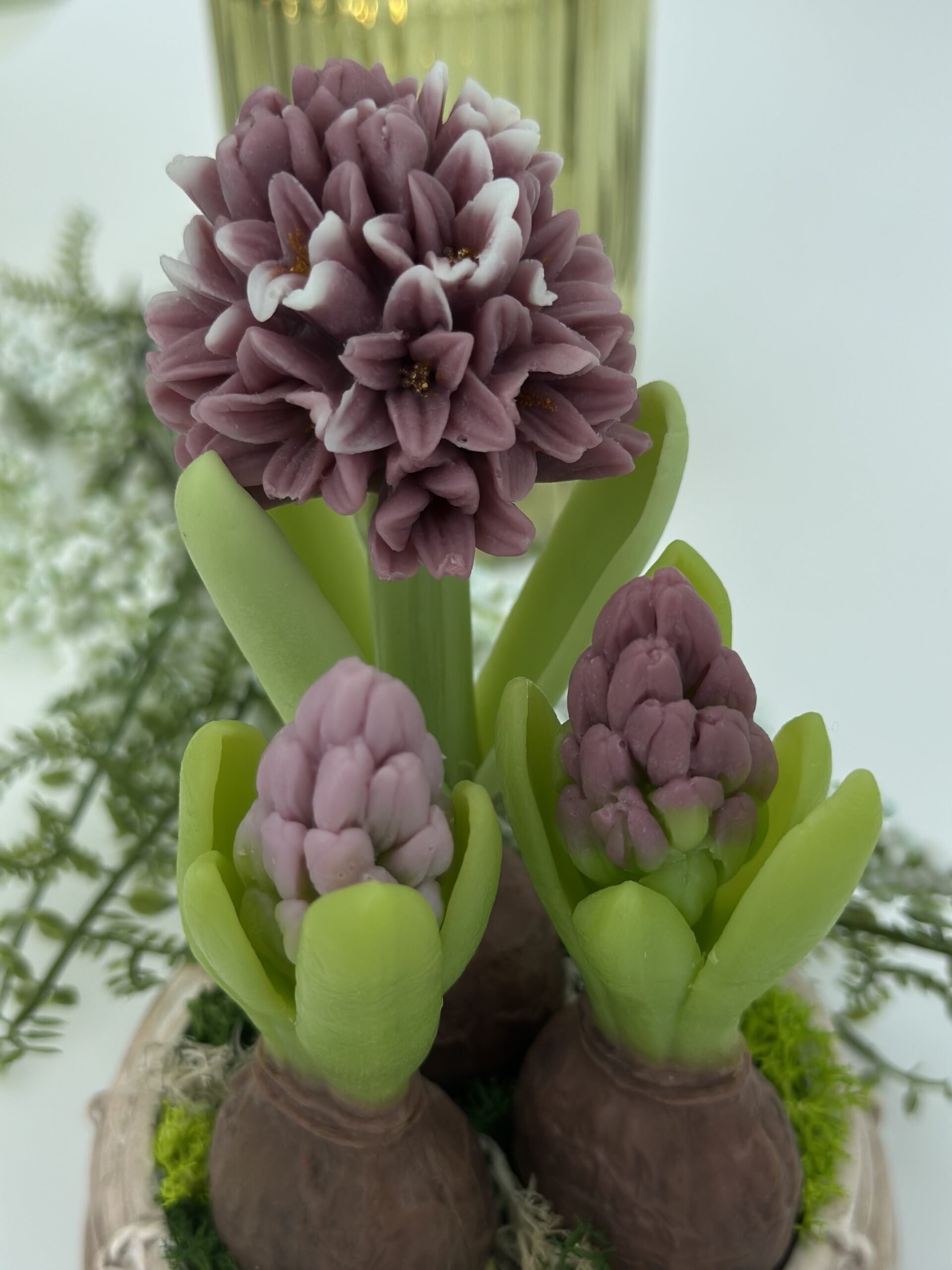 Hyazinthe – Bild 4