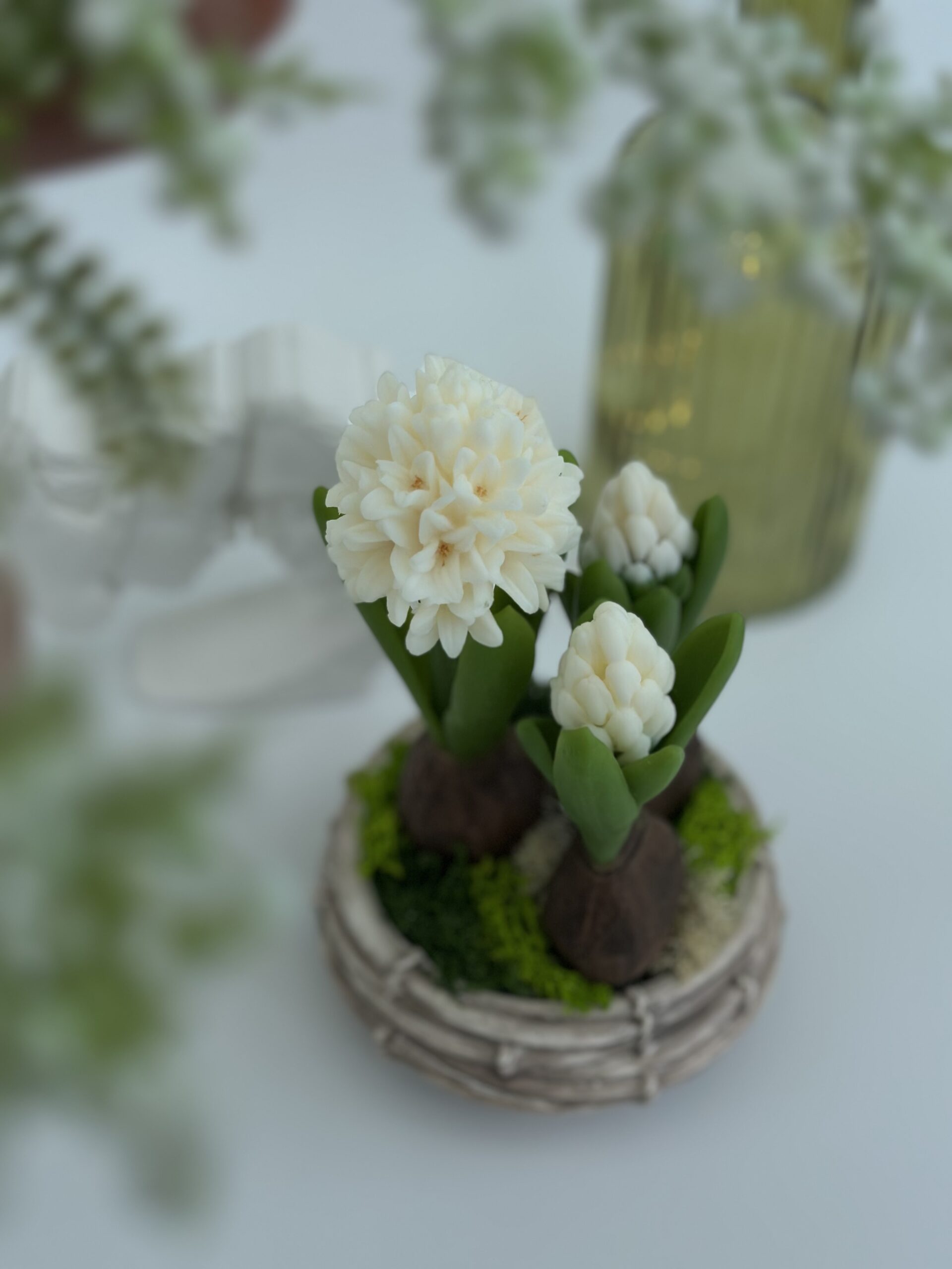 Hyazinthe – Bild 2